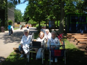 Resting at the zoo